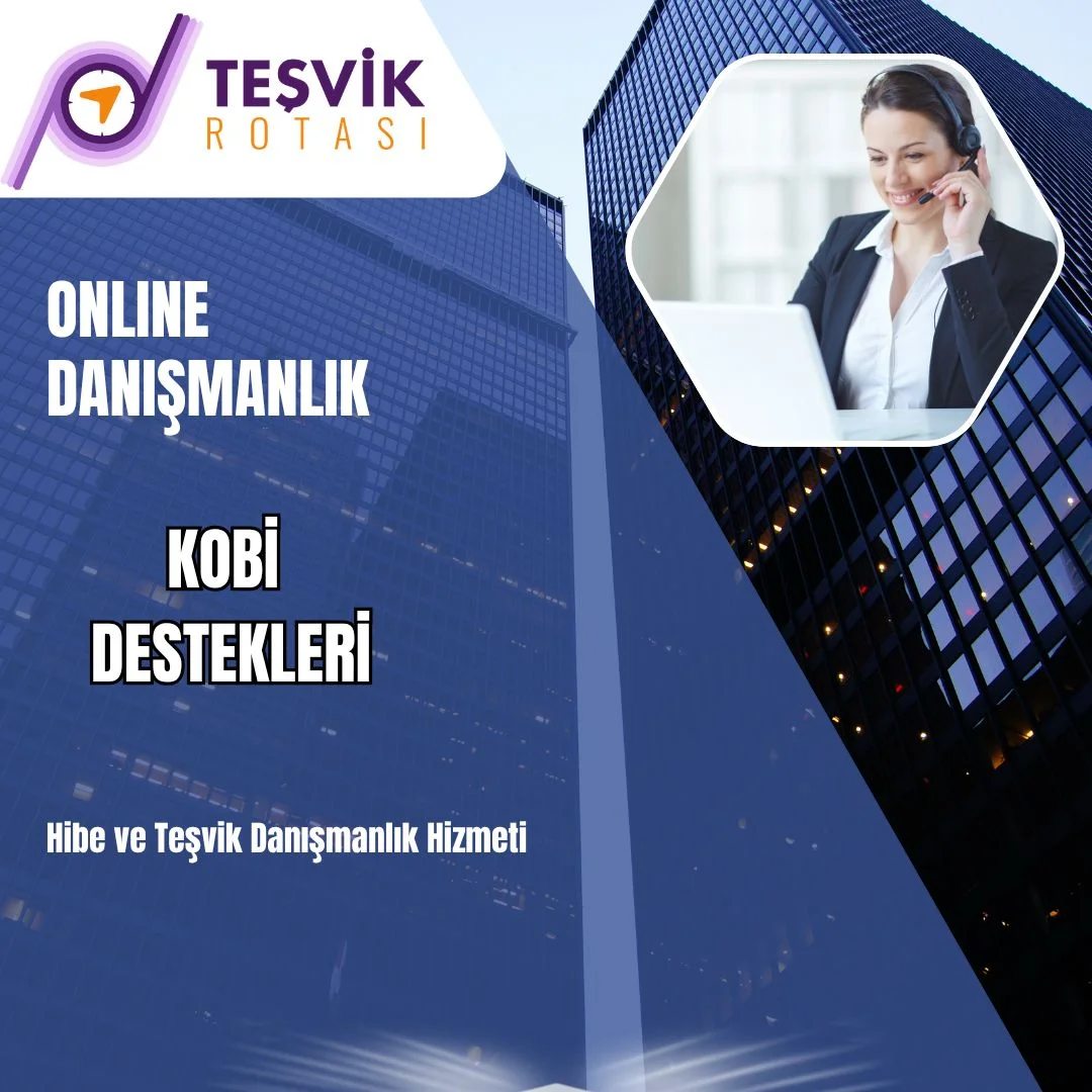 online danismanlik hizmeti mevcut isletme buyume ve gelistirme destekleri